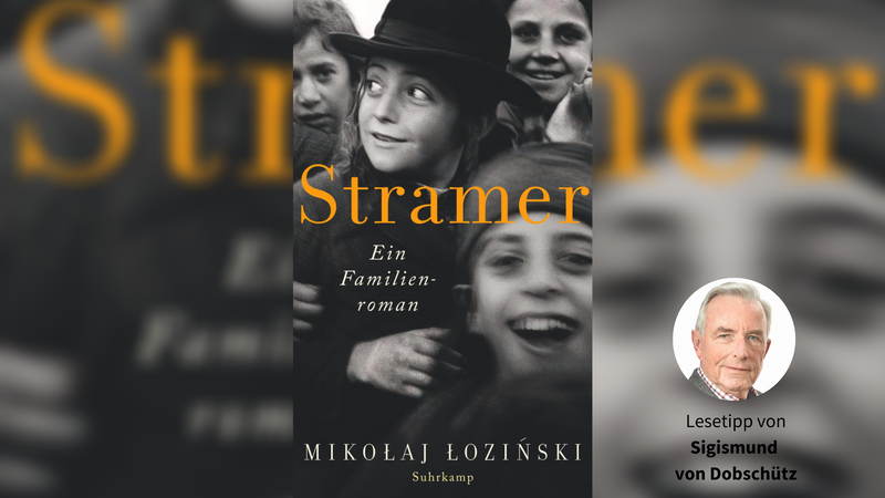 Das Cover von Mikołaj Łozińskis "Stramer. Ein Familienroman".
