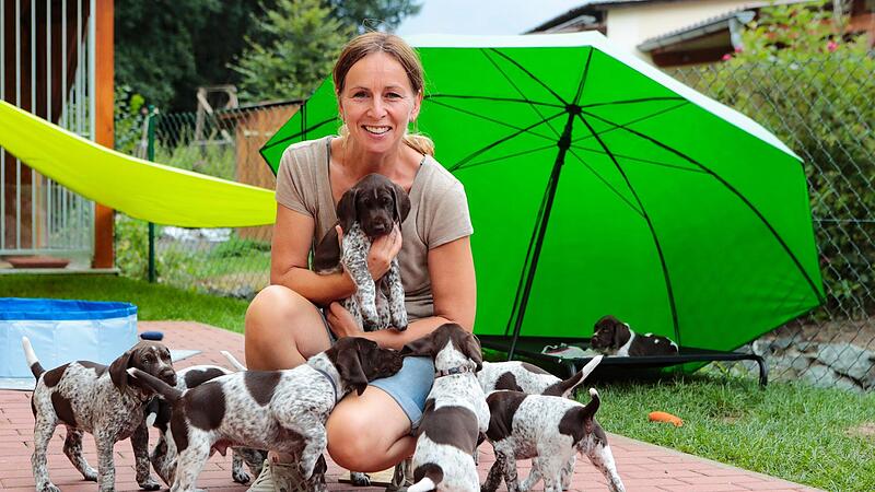 Hahn im Korb trifft's nicht - f&uuml;r die zw&ouml;lf Welpen von "Bohne" ist Michael Eber so etwas wie die gute Fee. Fotografen m&ouml;gen sie aber auch.