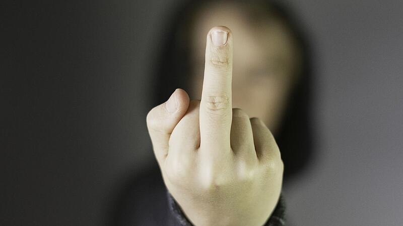 Vom plötzlichen Auftauchen des verhassten Schwiegervaters provoziert, ließ sich der Angeklagte zu Beleidigungen einschließlich Zeigens des Stinkefingers verleiten.