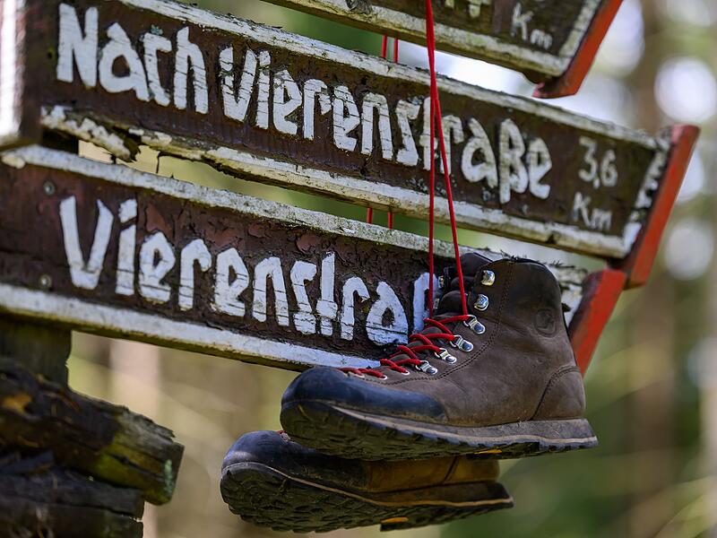 Wandern als Wirtschaftsfaktor Wandern als Wirtschaftsfaktor