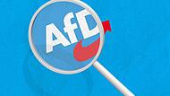 Die Bilanz nach einem Jahr AfD in Forchheimer Stadtrat und im Kreistag fällt ernüchternd aus. Die Partei erklärt das mit der "Findungsphase".Forchheim & Fränkische Schweiz