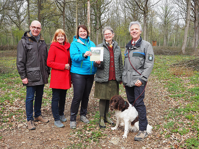 Mittel- und Niederw&auml;lder in Bayern