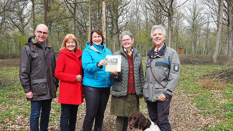 Mittel- und Niederw&auml;lder in Bayern