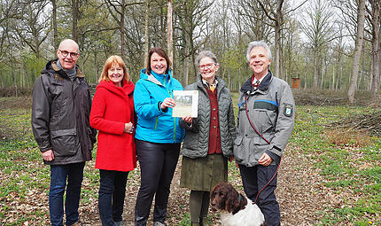 Mittel- und Niederw&auml;lder in Bayern