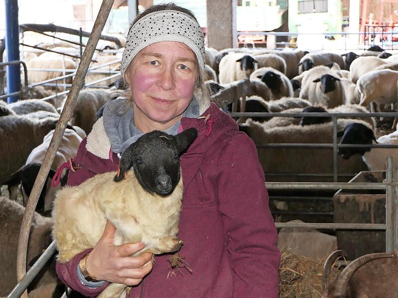 Michaela von der Linden taufte das kleine L&auml;mmchen spontan auf den Namen Fridolin.