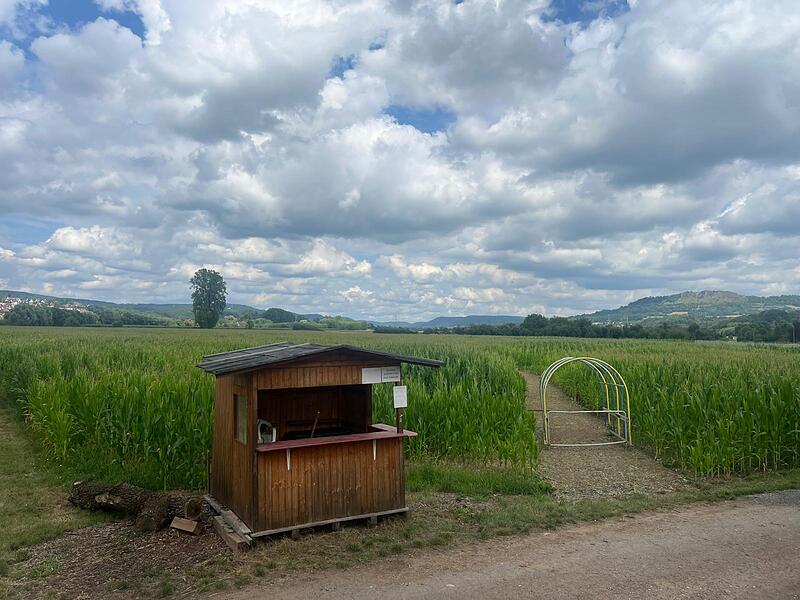 Maislabyrinth GosbergForchheim & Fränkische Schweiz