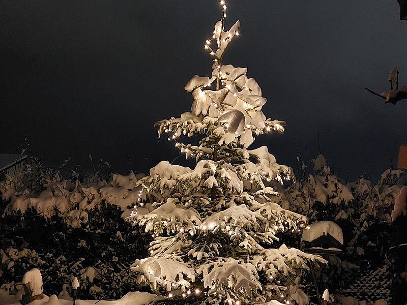 Schnee in Kulmbach: Die sch&ouml;nsten Leserfotos