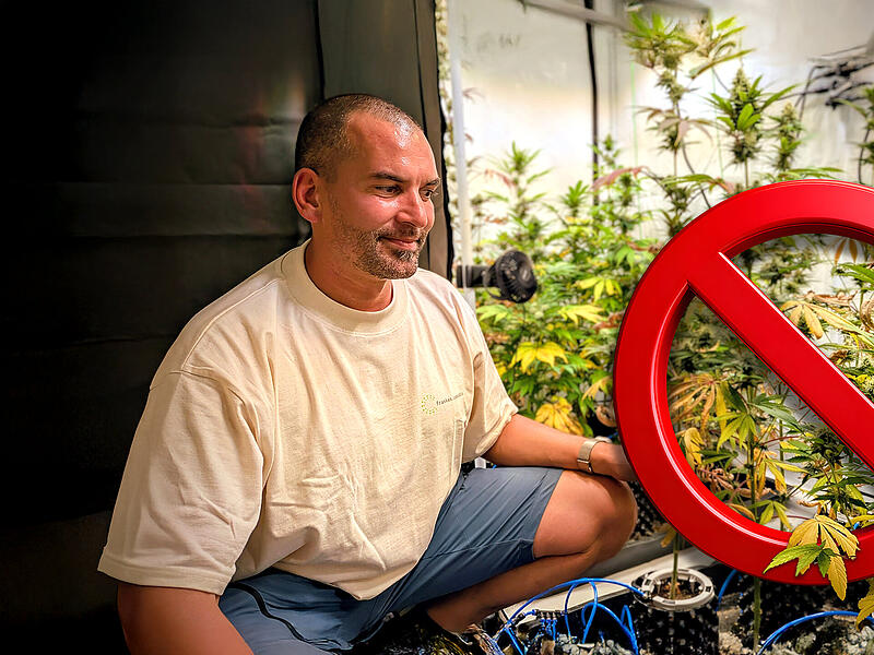 Cannabis-Anbauverein „franken.cannabis“  aus dem Landkreis Bamberg scheitert vor Gericht