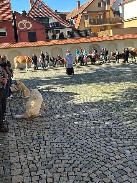 Tiere unterschiedlicher Größen, Arten und Gattungen wurden auf dem Kirchplatz in Oberndorf gesegnet.