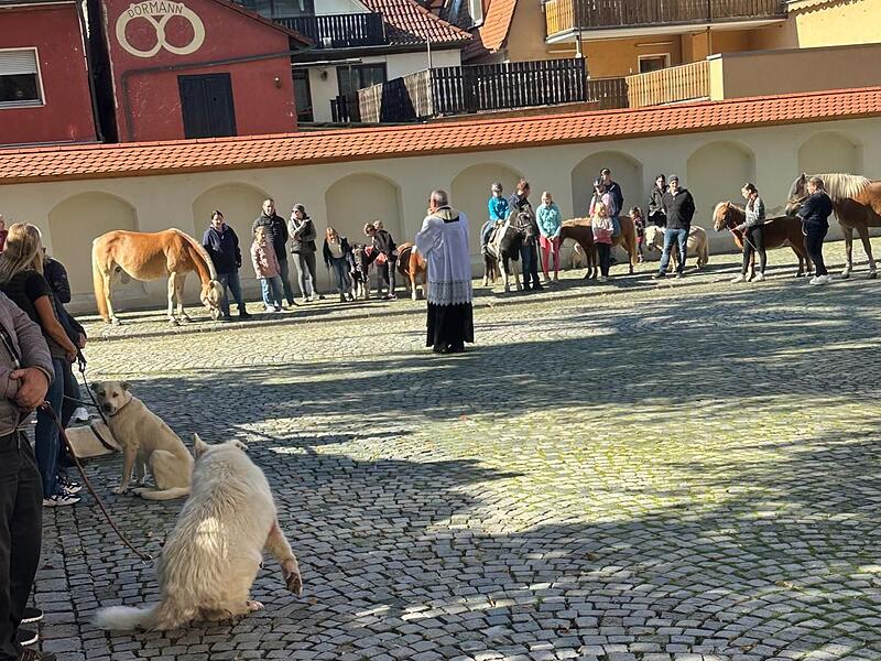 Tiere unterschiedlicher Größen, Arten und Gattungen wurden auf dem Kirchplatz in Oberndorf gesegnet.