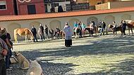 Tiere unterschiedlicher Größen, Arten und Gattungen wurden auf dem Kirchplatz in Oberndorf gesegnet.