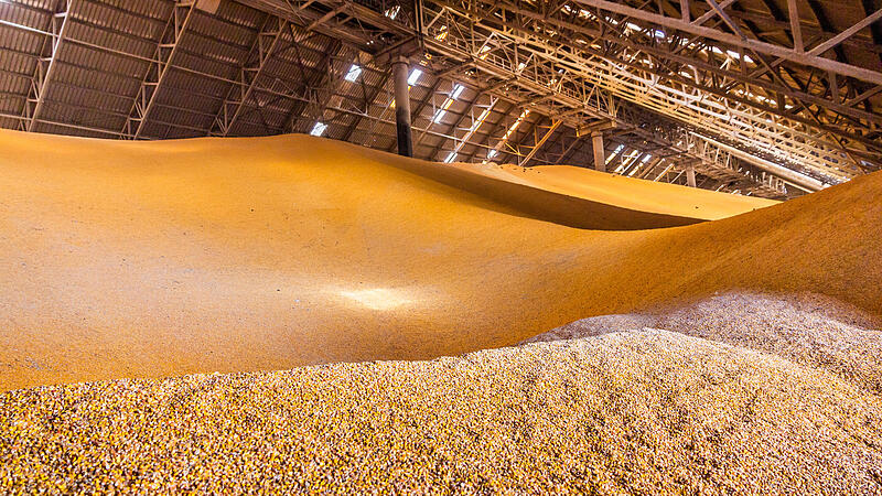 In Deutschland gibt es mehrere Lager, in denen Getreide gelagert wird.