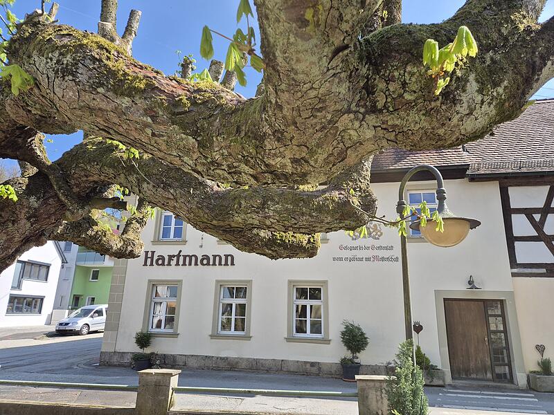 Der Brauerei-Gasthof Hartmann in W&uuml;rgau: Der Biergarten &ouml;ffnet bald.