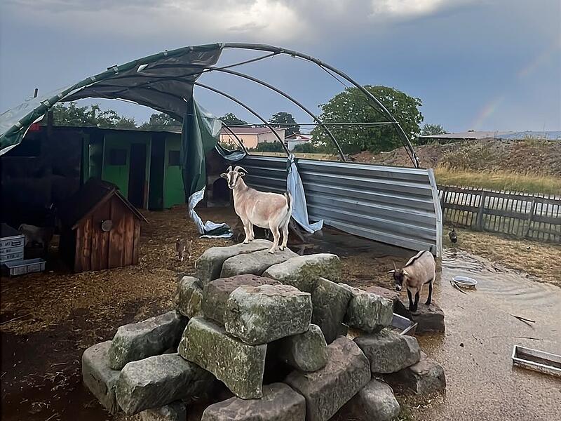 Der Sturm hat den Ziegenstall zerstört. Der Sturm hat den Ziegenstall zerstört.