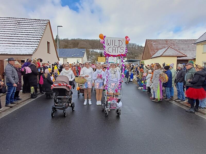 Rosenmontagszug in Aura