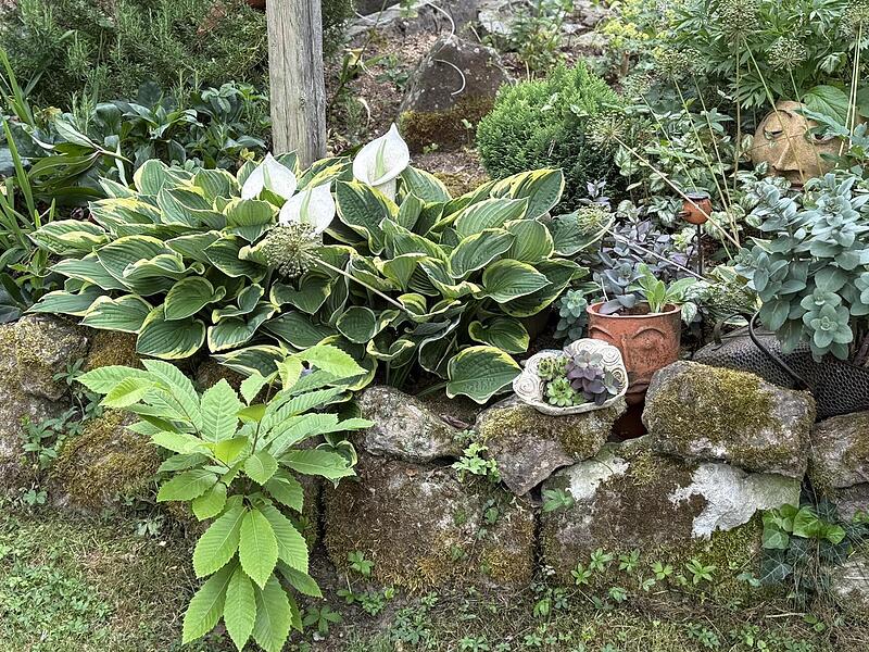 Der naturnahe Garten lädt zum Verweilen ein. Der naturnahe Garten lädt zum Verweilen ein.