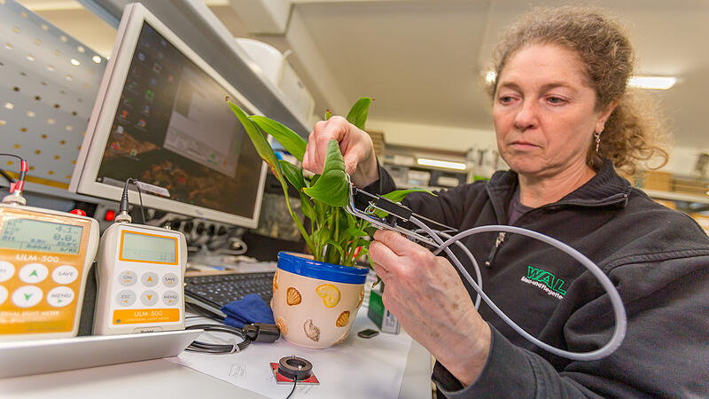 Kleine Apparate, gro&szlig;e Wirkung: Die Heinz Walz GmbH aus Effeltrich gilt als Marktf&uuml;hrer in der Entwicklung und Fertigung von elektronischen Messger&auml;ten f&uuml;r Photosynthese-Untersuchungen an Pflanzen. Ein wahrer Hidden Champion.