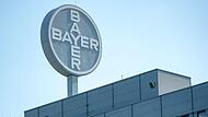 Bayer