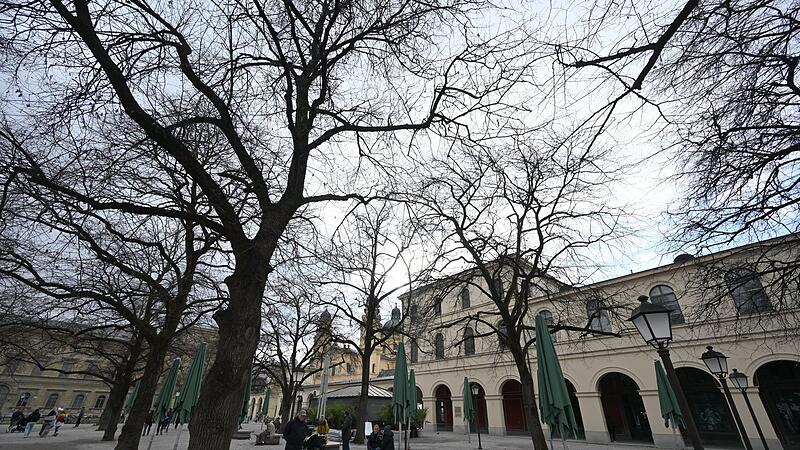 Wetter in Bayern - Hofgarten