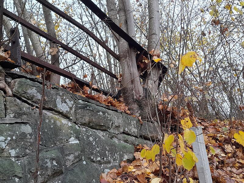 Dieses Foto entstand am Express-Rhön Fuß- und Radweg. „An den beiden Enden eines rostigen Geländers sind Baumstämme mit aller Wucht durch die Eisen-Querstangen