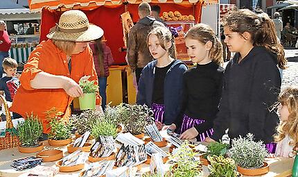 Coburg bl&uuml;ht auf: Er&ouml;ffnung Ernstplatz mit OB Sauerteig