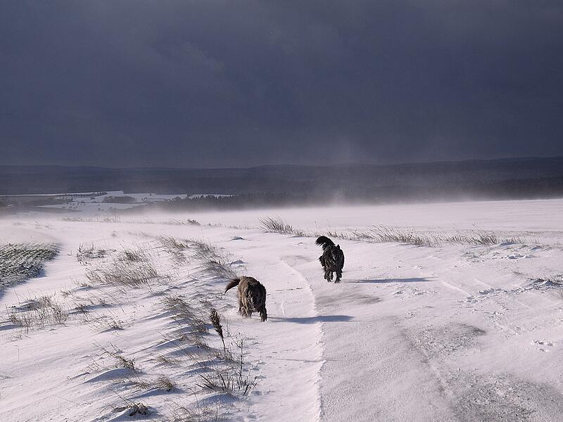 Unterhalb vom Kreuz in Wartmannsroth und Richtung Schw&auml;rzelbach gibt es immer Schneeverwehungen.
