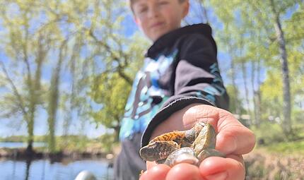 Ein Bub h&auml;lt an einem Bamberger Baggersee Dreikant-Muscheln in der Hand.