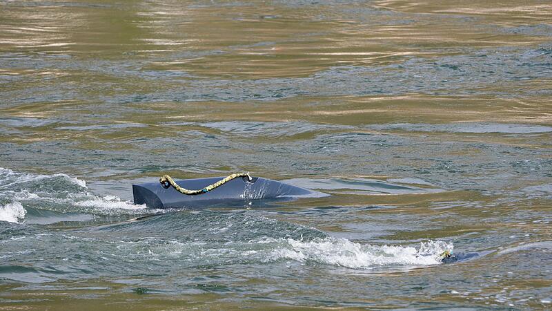 Energyfish Schwarmkraftwerk im Rhein Energyfish Schwarmkraftwerk im Rhein