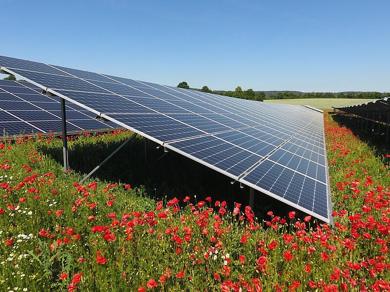 SÜDWERK Solarpark SÜDWERK Solarpark