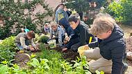 Die Grundschule Riedenberg nimmt am Programm Gem&uuml;seAckerdemie teil. Die Kinder sind bei dem Unterricht im Garten und an der frischen Luft ganz bei der Sache.