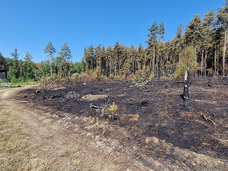 Waldbrand bei Oberhaid Waldbrand bei Oberhaid
