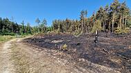Waldbrand bei Oberhaid Waldbrand bei Oberhaid
