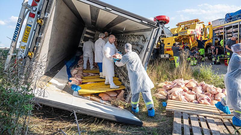 Die Bergung der etwa 2100 Schinkenkeulen aus dem verunfallten Lastwagen zog sich über mehrere Stunden. Die Bergung der etwa 2100 Schinkenkeulen aus dem verunfallten Lastwagen zog sich über mehrere Stunden.