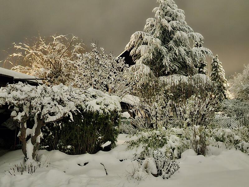 Schnee in Kulmbach: Die sch&ouml;nsten Leserfotos