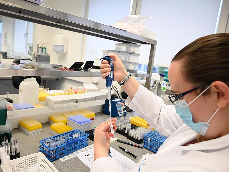 Loaboklin liefert Ergebnisse von Analysen an Tierärzte und -kliniken. Loaboklin liefert Ergebnisse von Analysen an Tierärzte und -kliniken.
