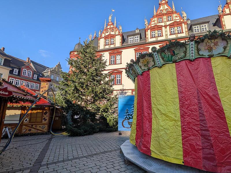 Der Weihnachtsbaum 2025 steht.