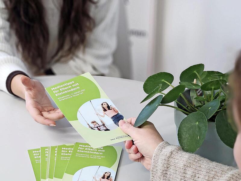 Der Flyer ist in vielen Kindertagesst&auml;tten und Schulen des Landkreises erh&auml;ltlich.