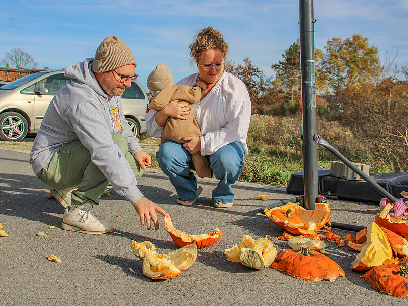 Kürbis-Chaos Kürbis-Chaos