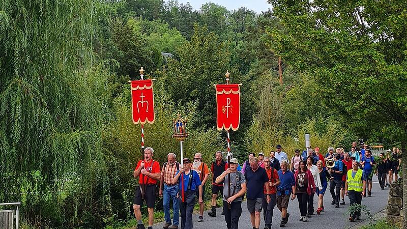 Das Foto zeigt die Sulzthaler Pilger der Wallfahrt vom vergangenen Jahr.