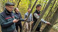 Martin Renger, Simone Schrenker, Jens Haertel, Florian Schulte vermessen und erfassen eine Mehlbeere bei Serkendorf.