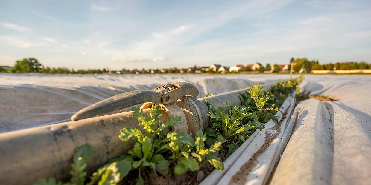 Genauere Kontrolle bei Brunnen Gärtner in Albertshofen dürfen weiter