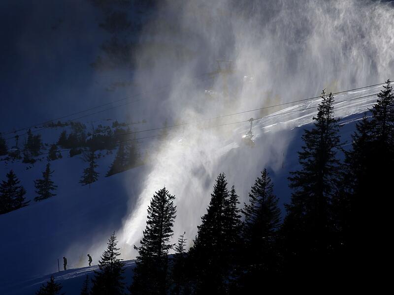 Birkhuhn in Gefahr? LBV macht Front gegen Liftbau im Allgäu
