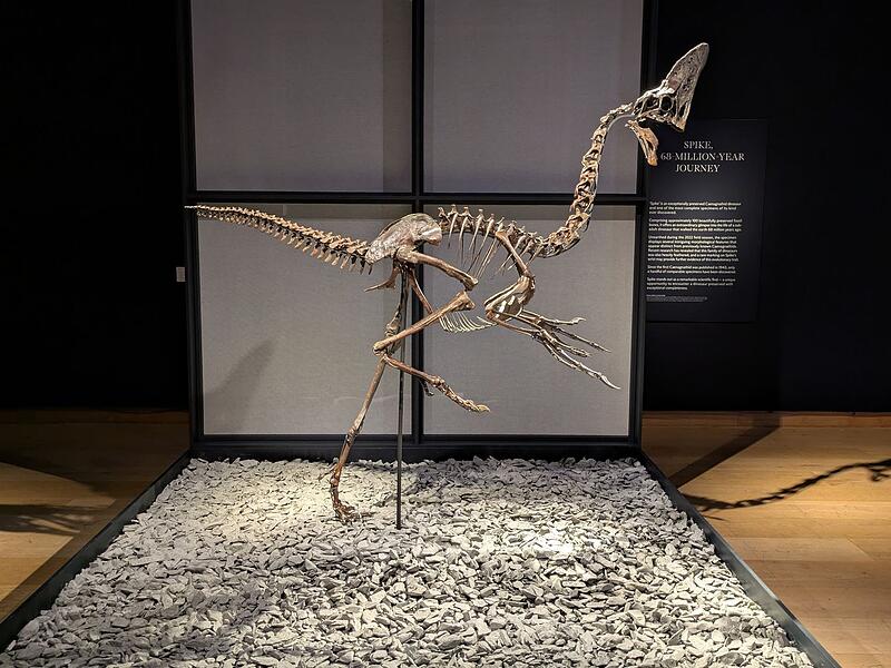 Tolkiens Schreibtisch und Batmans Motorrad unterm Hammer Tolkiens Schreibtisch und Batmans Motorrad unterm Hammer