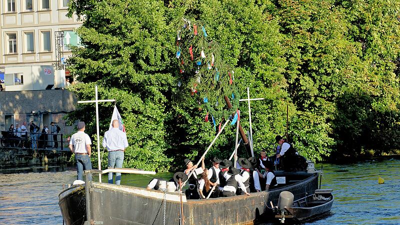Ein Kerwabaum auf einem Fluss - das gibt es nur in Bamberg.